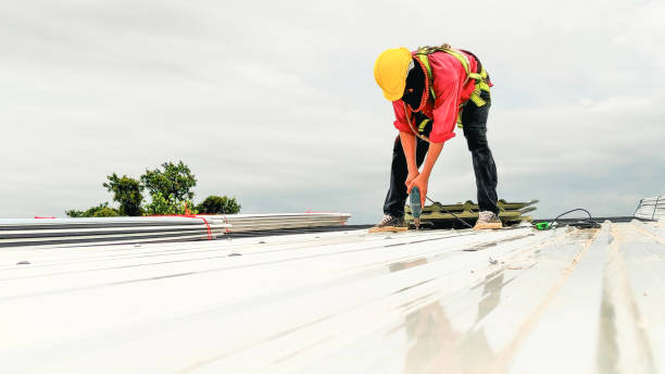 Best Chimney Flashing Repair  in Buffalo, WY