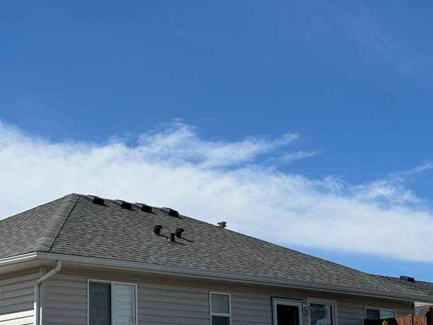 Best Roof Ventilation Installation  in Buffalo, WY